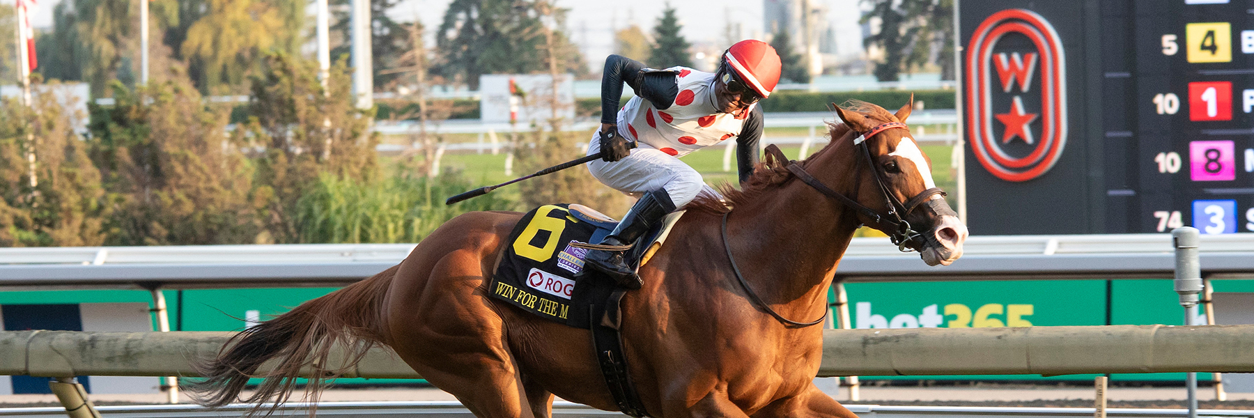 Win for the Money - 24 Woodbine Mile - SYS, Gulfstream