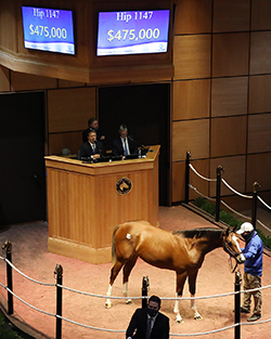 into mischief fasig tipton october yearlings