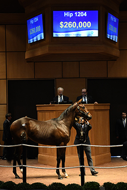 fasig tipton kentucky october yearlings munnings colt