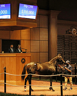 classic empire colt fasig tipton kentucky october yearlings