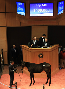 fasig tipton the november sale pioneerof the nile filly