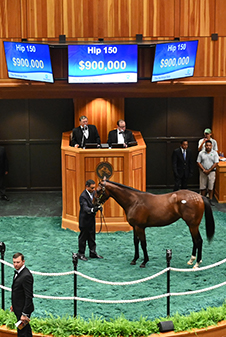 fasig tipton saratoga medaglia d'oro filly