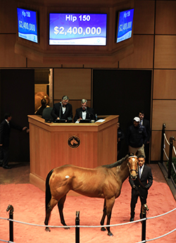 fasig tipton november sale mia mischief