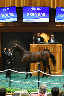 fasig tipton saratoga medaglia d'oro colt