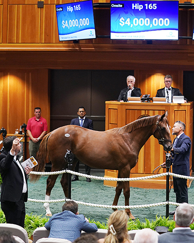 curlin colt out of beholder fasig-tipton the saratoga sale