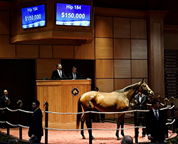 fasig tipton kentucky over emphasize overanalyze winter