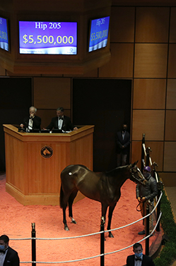 rushing fall fasig tipton november