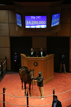 bast fasig tipton november