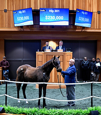 cyberknife colt