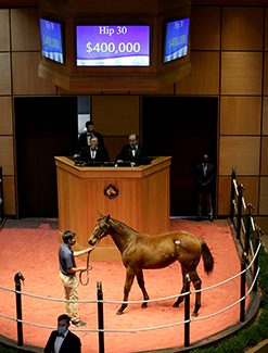 justify filly fasig tipton