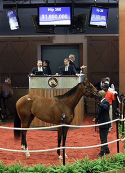 fasig-tipton midlantic record into mischief filly