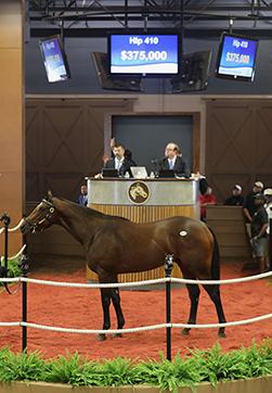 fasig-tipton midlantic uncle mo colt