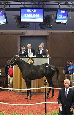 fasig-tipton midlantic cairo prince colt