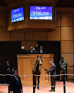 fasig tipton kentucky winter mixed unified colt