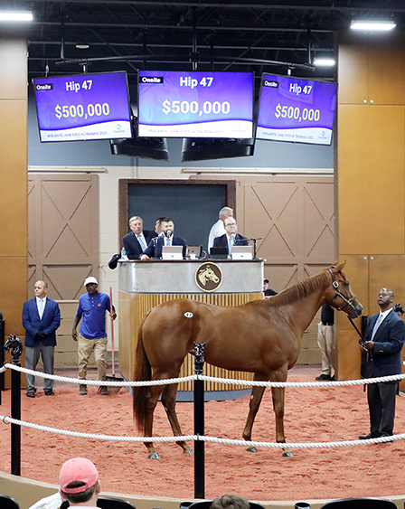 kantharos filly fasig-tipton midlantic