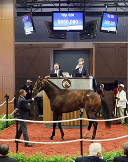 fasig-tipton midlantic colonel john colt