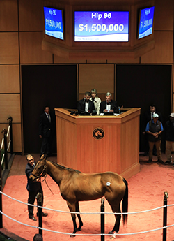 fasig tipton november sale belvoir bay