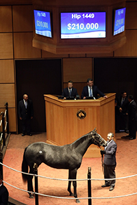 fasig-tipton october sale liam's map filly