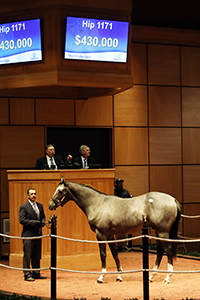 fasig-tipton october sale tapit colt