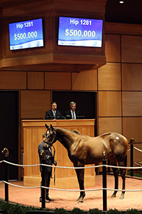 fasig-tipton october sale street sense colt