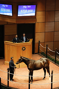 fasig-tipton the october sale tiznow colt