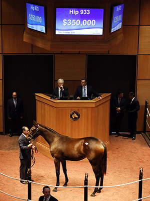 october sale uncle mo filly fasig-tipton