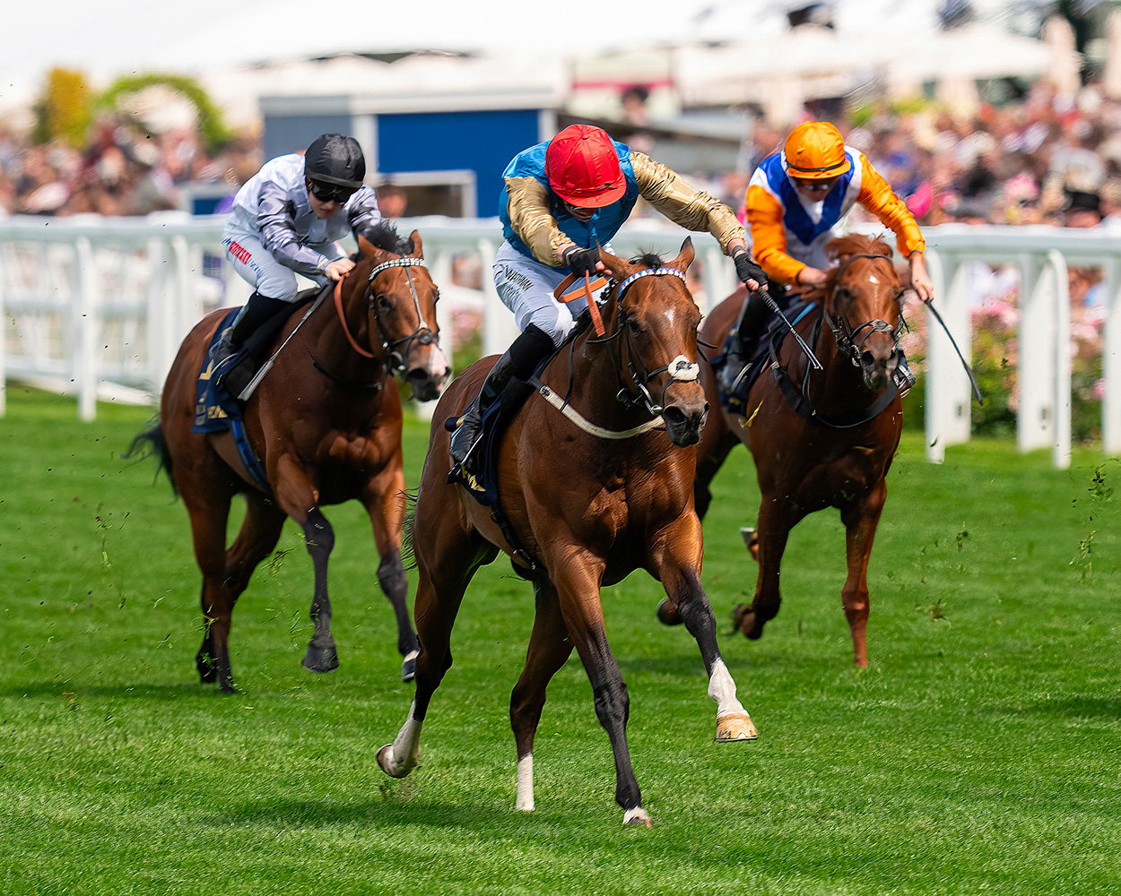 shareholders wins the norfolk at royal ascot