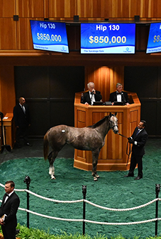 fasig tipton saratoga frosted filly