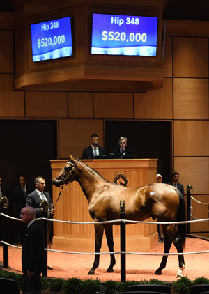 The July Sale Hip 348