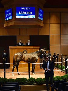 fasig tipton nyquist colt