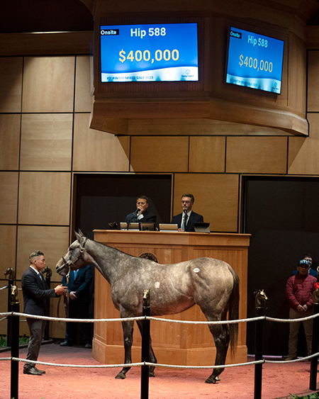 fasig tipton lemieux kentucky winter mixed