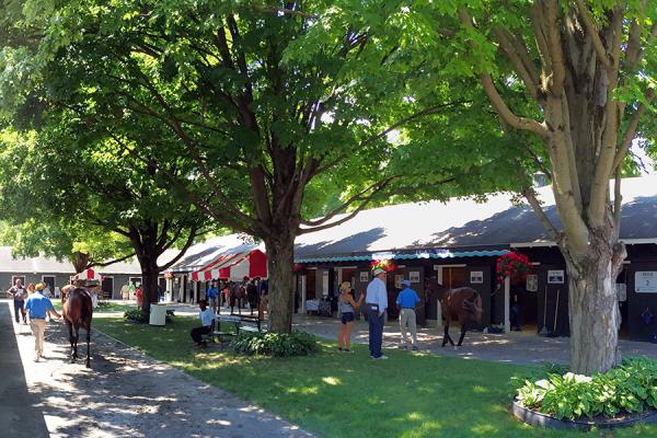 fasig tipton saratoga